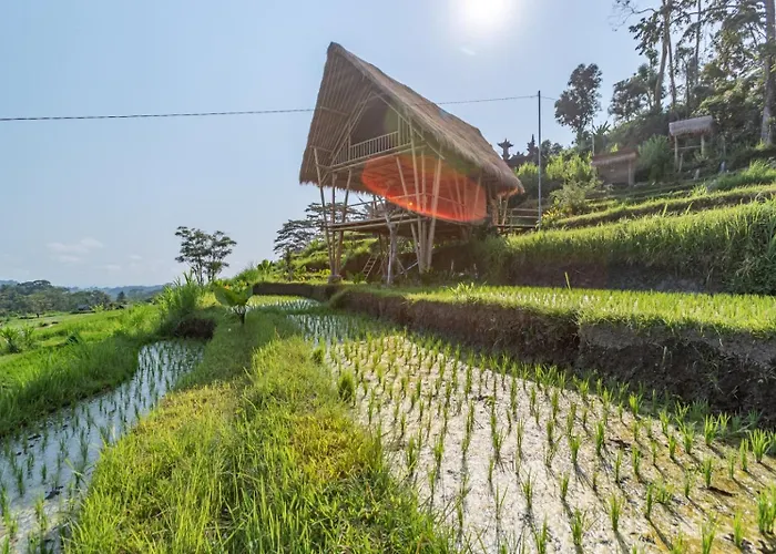 Sandag Hill * Sidemen (Bali)